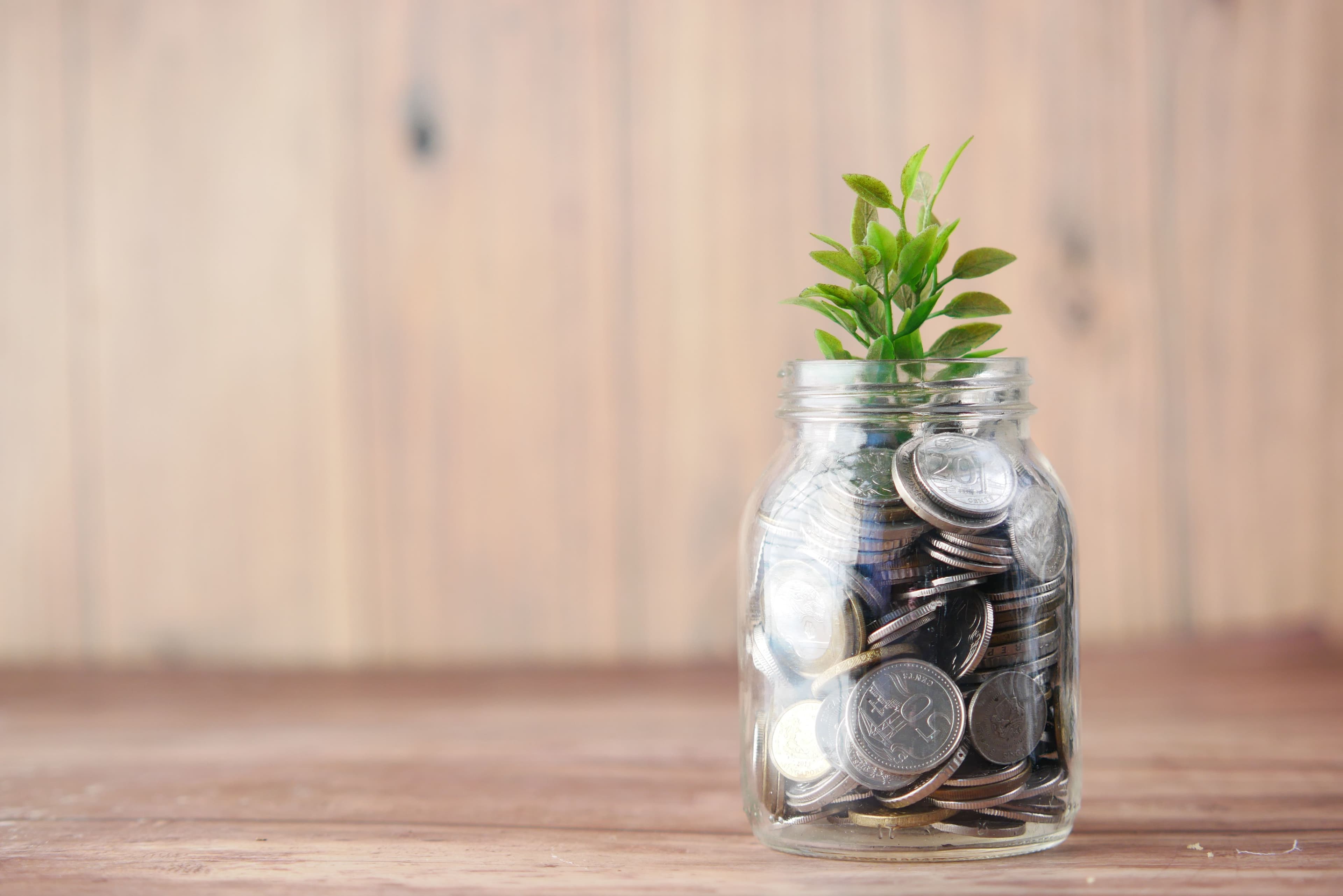 Jar of coins with a young plant growing from savings